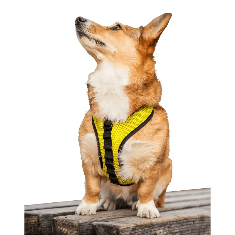 K9 Sport Harness With Optional Custom Embroidery 1