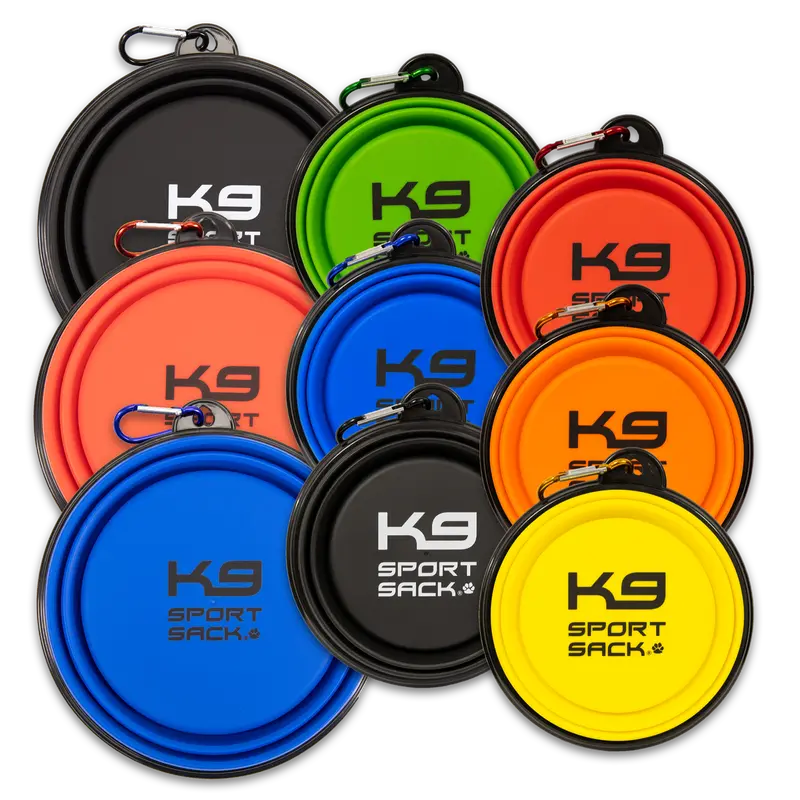 K9 Sport Saucer 1