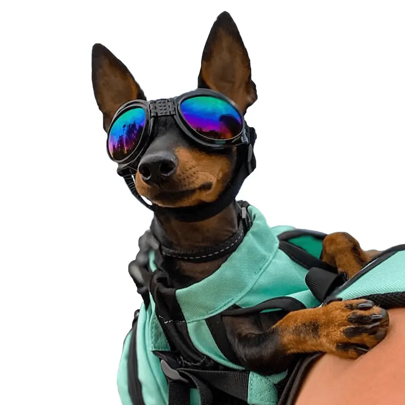 K9 Sport Shades - Dog Goggles 1