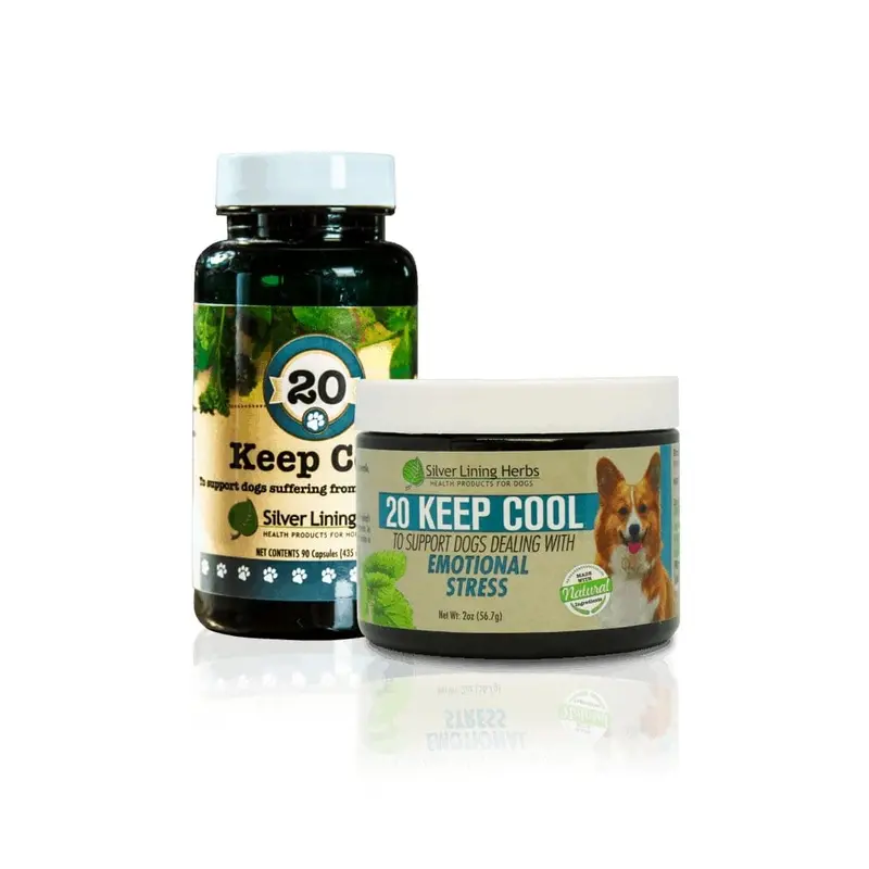 Keep Cool For Canines 1
