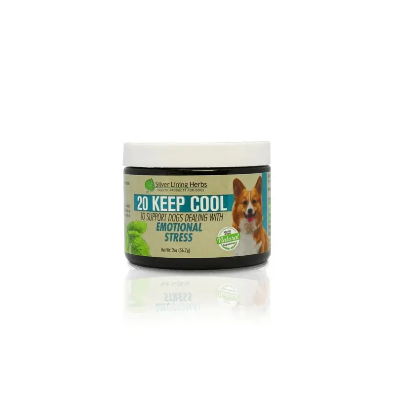 Keep Cool For Canines 2