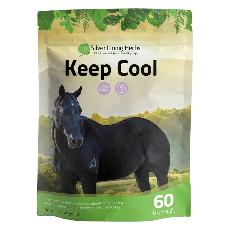 Keep Cool For Horses 1