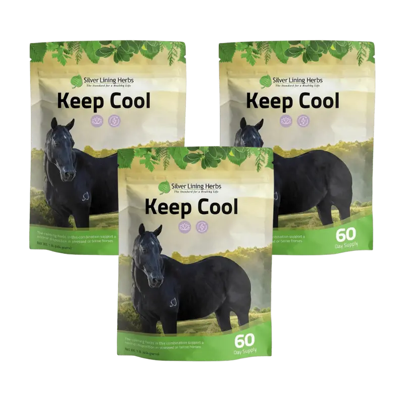Keep Cool For Horses 2