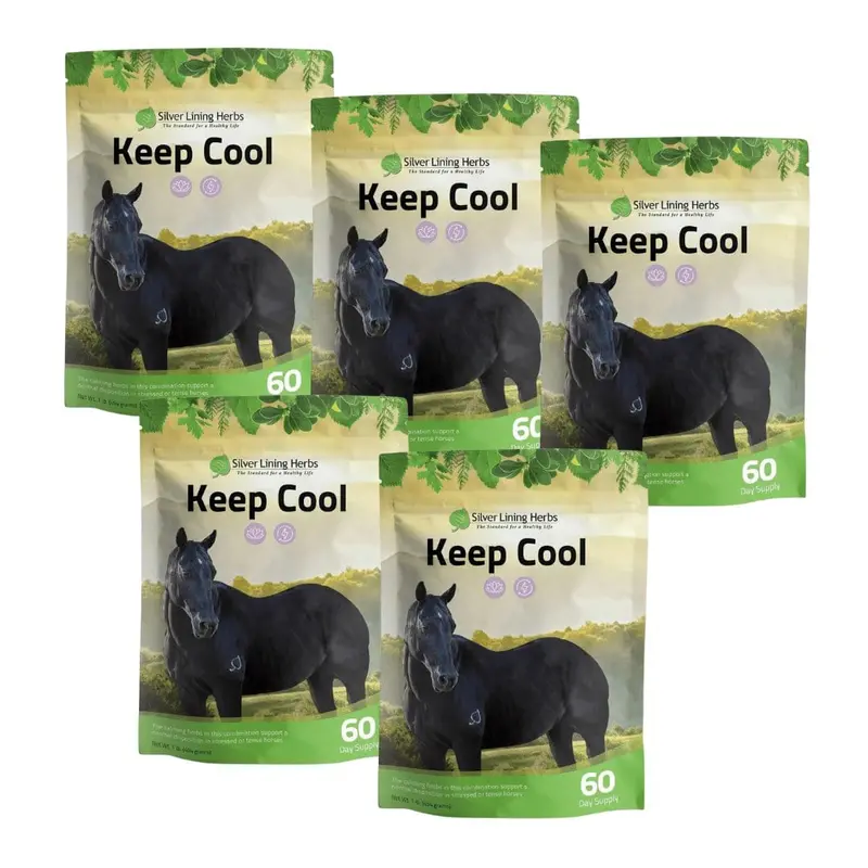 Keep Cool For Horses 3