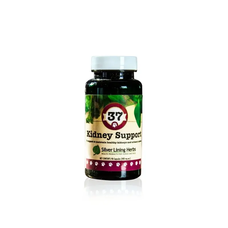 Kidney Support For Canines 1