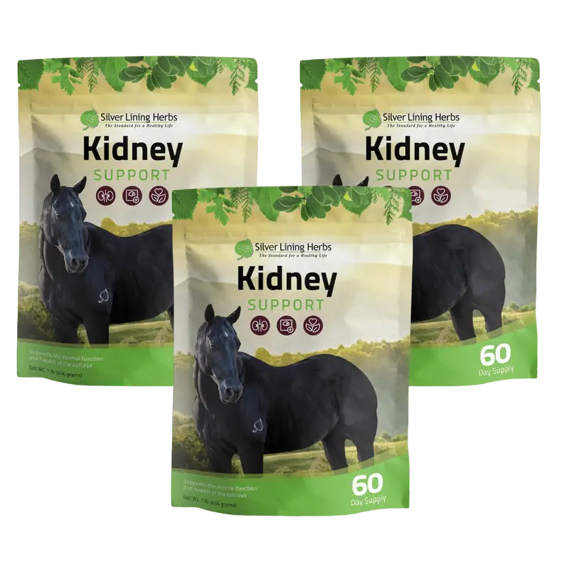 Kidney Support For Horses 2