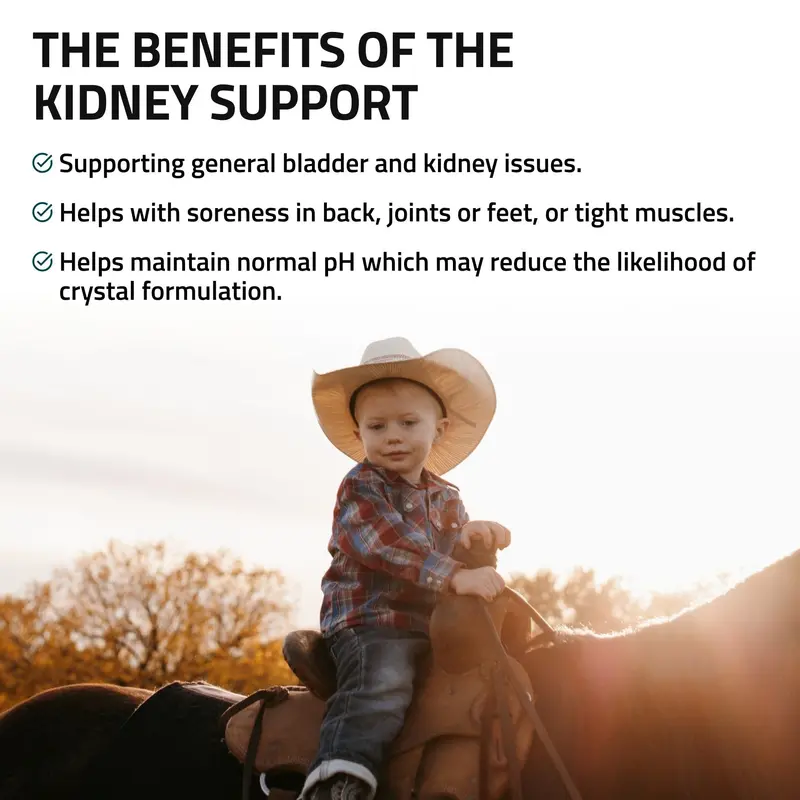 Kidney Support For Horses 3