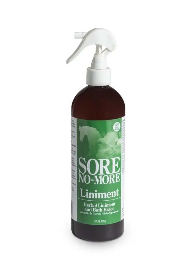 Kings Sore No More Liniment 1