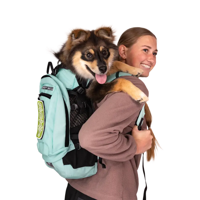 Klearance Plus 2 | Dog Carrier With Removable Storage 3