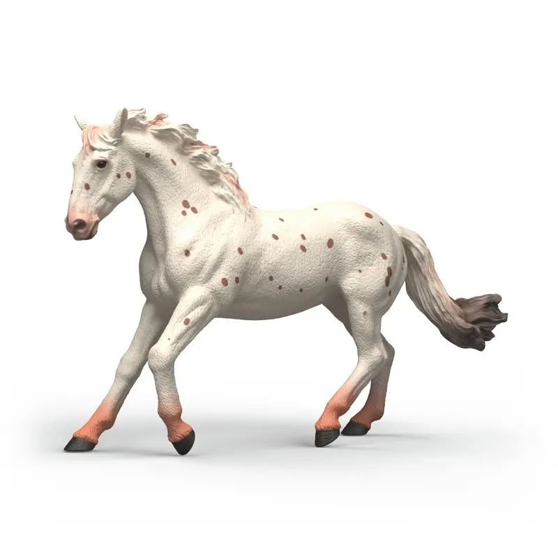 Knabstrupper Mare 1