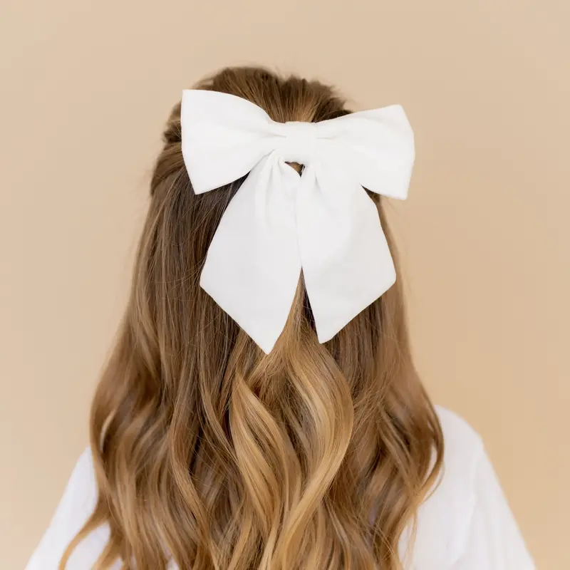 Large Alligator Clip Bow In Cloud 1