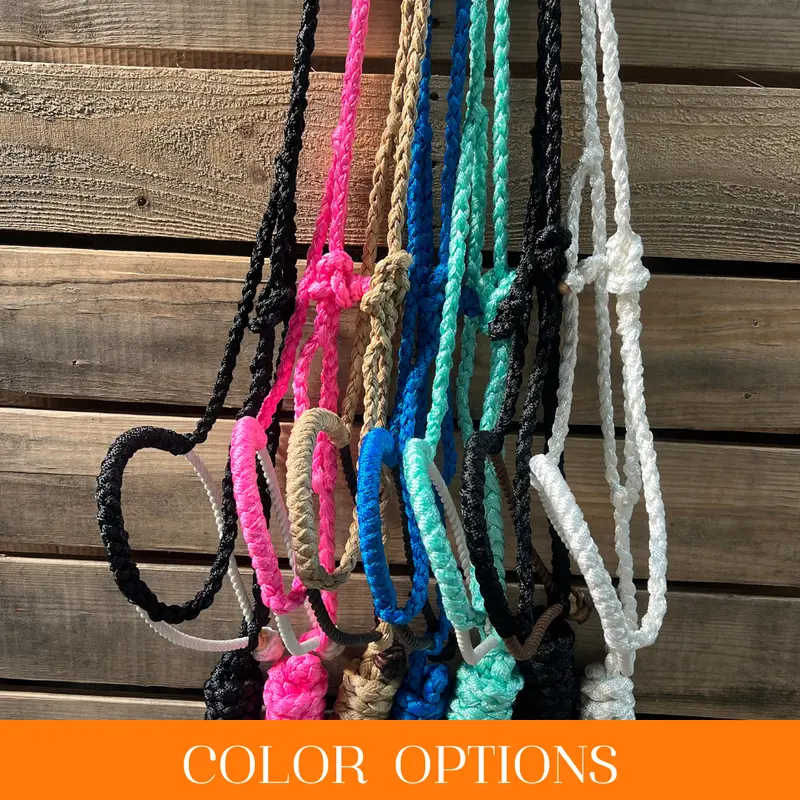 Lariat Mule Tape Halters - Assorted Colors- 1