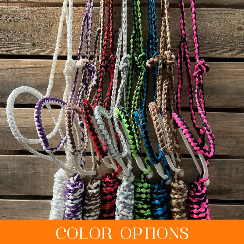 Lariat Mule Tape Halters - Assorted Double Colors- 1