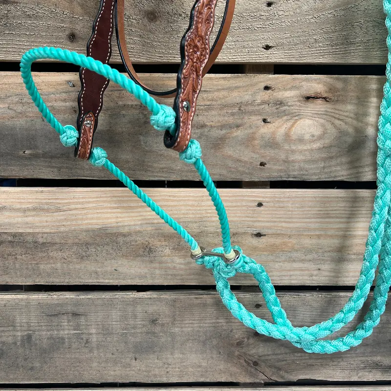 Light Oil Floral Scalloped Turquoise Loping Hackamore #Lhk024 2