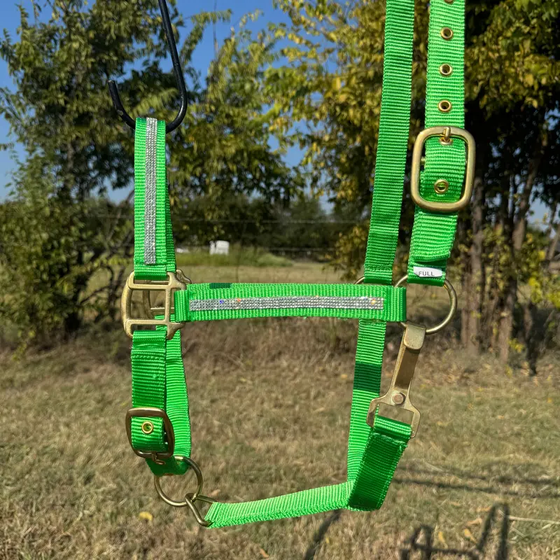 Lime Bling Nylon Horse Halter Bnhngn 1