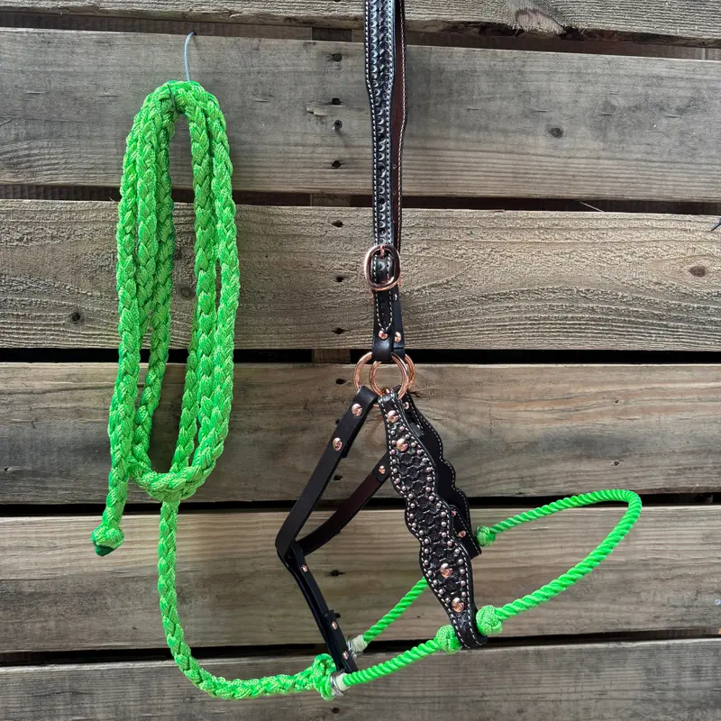 Lime Honeycomb Tooled Lariat & Leather Combo Halter 1