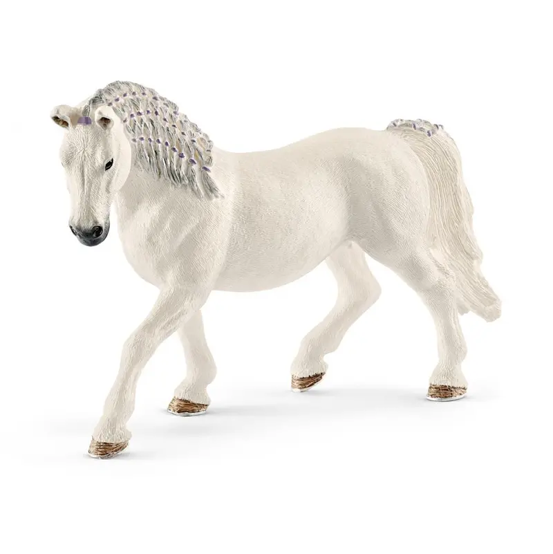 Lipizzaner Mare 1