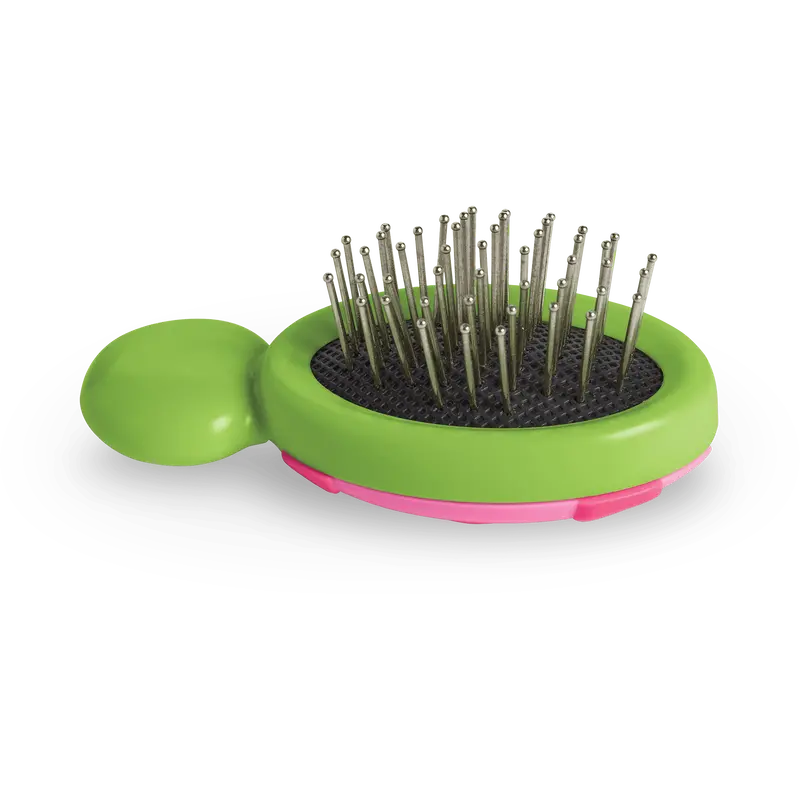 Little Ladybug Brush 2