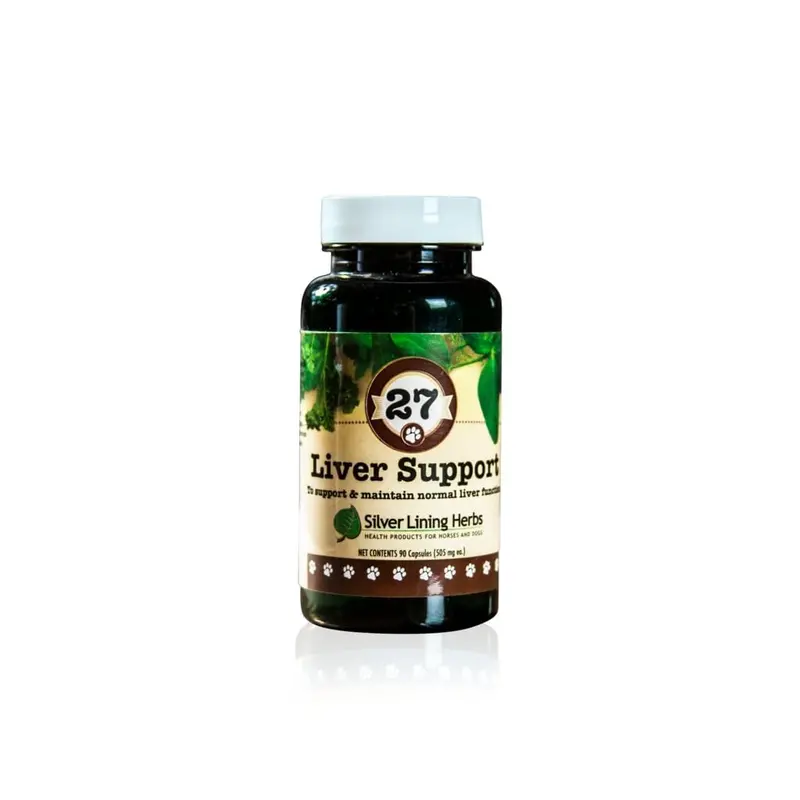 Liver Support For Canines 1