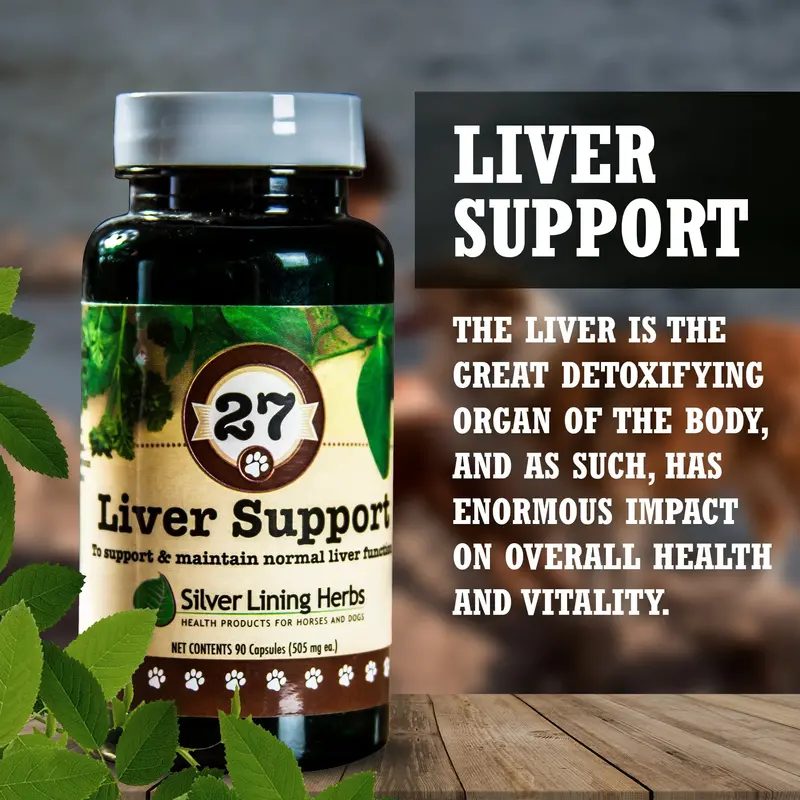 Liver Support For Canines 2