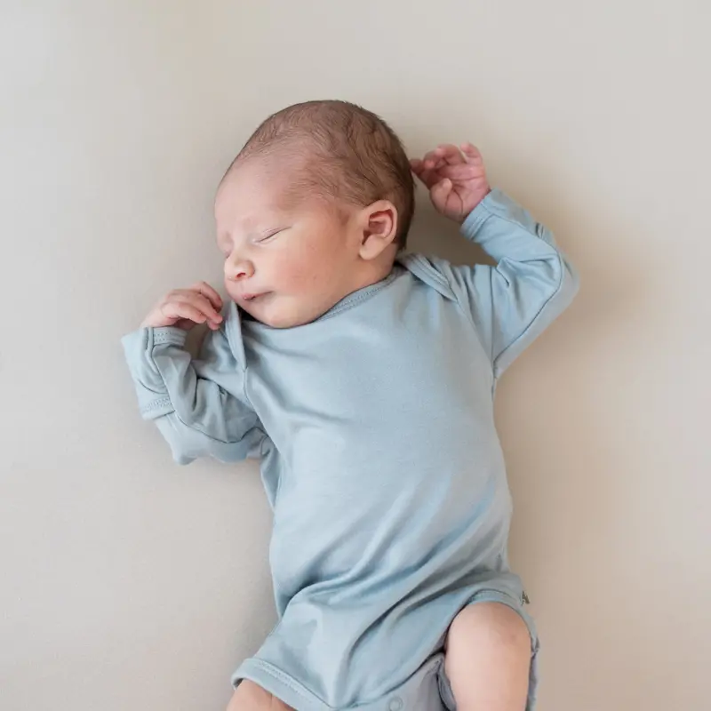 Long Sleeve Bodysuit In Fog 1