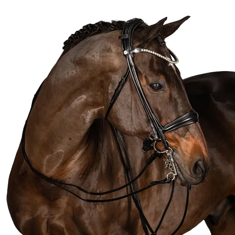 Lt Antigravity Double Bridle 1