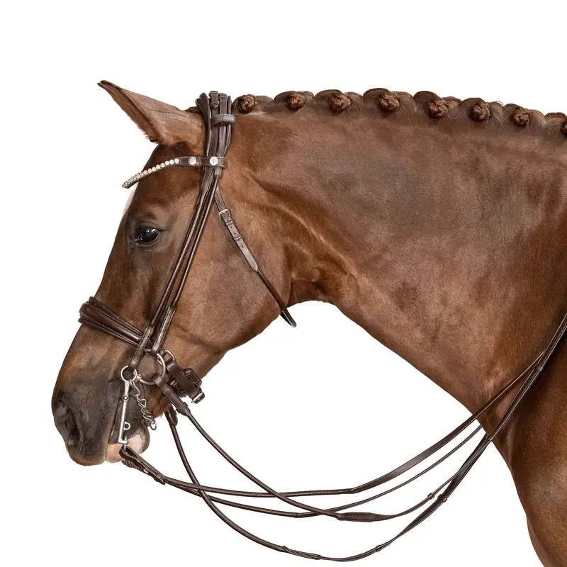Lt Antigravity Double Bridle Brown 1