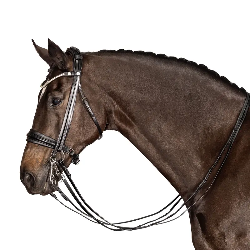 Lt Antigravity Equiform Double Bridle (Flat) 1