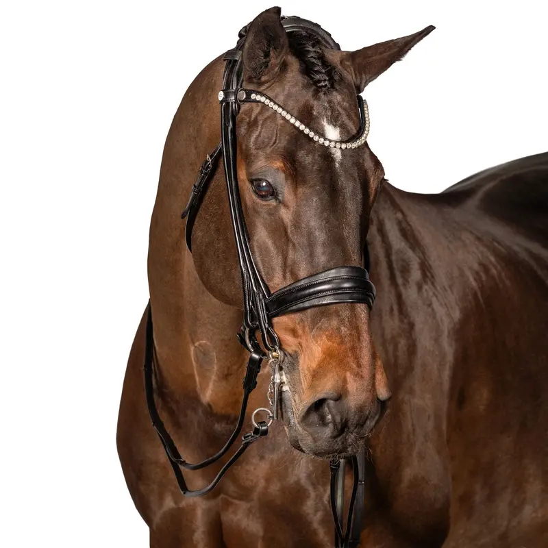 Lt Antigravity Equiform Double Bridle (Rolled) 1
