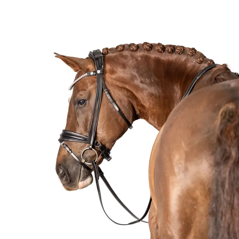 Lt Antigravity Equiform Snaffle Bridle (Flat) 1