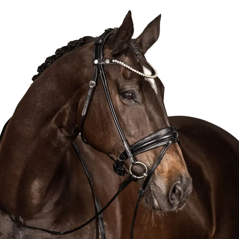 Lt Antigravity Equiform Snaffle Bridle (Rolled) 1