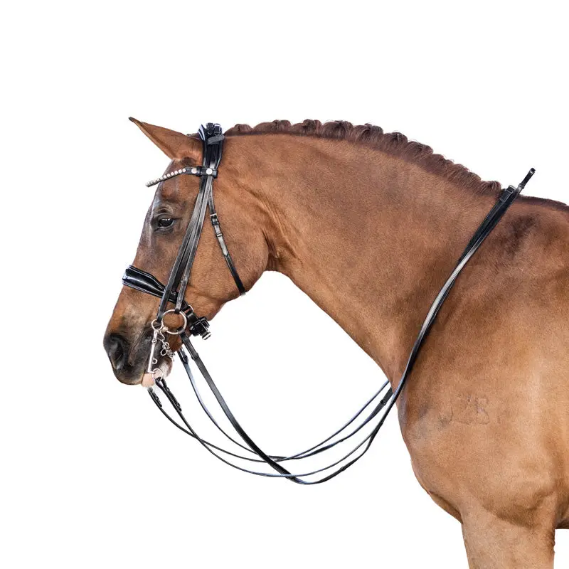 Lt Antigravity Glam Double Bridle 1