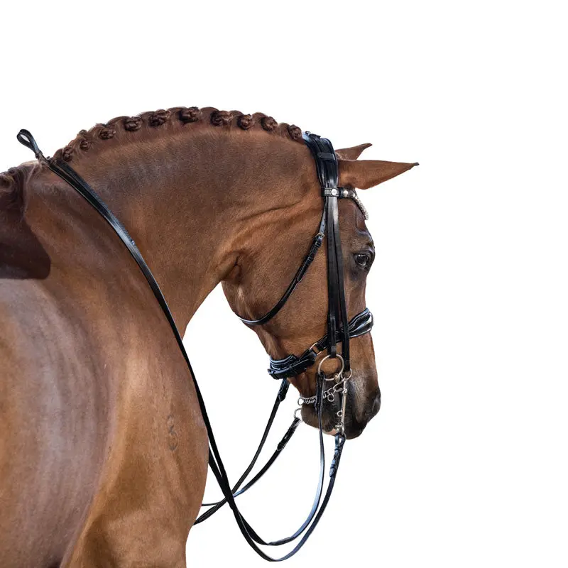 Lt Antigravity Glam Double Bridle 3