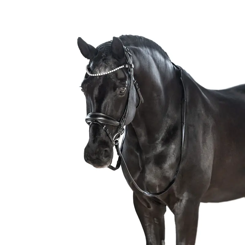 Lt Antigravity Snaffle Bridle 1