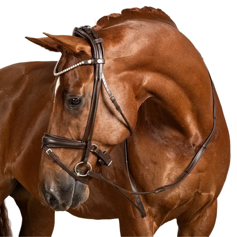 Lt Antigravity Snaffle Bridle Brown 1