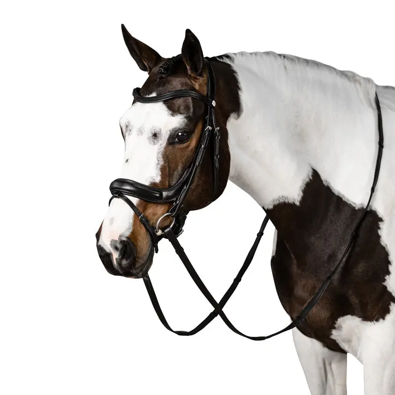 Lt Connection Bridle 1