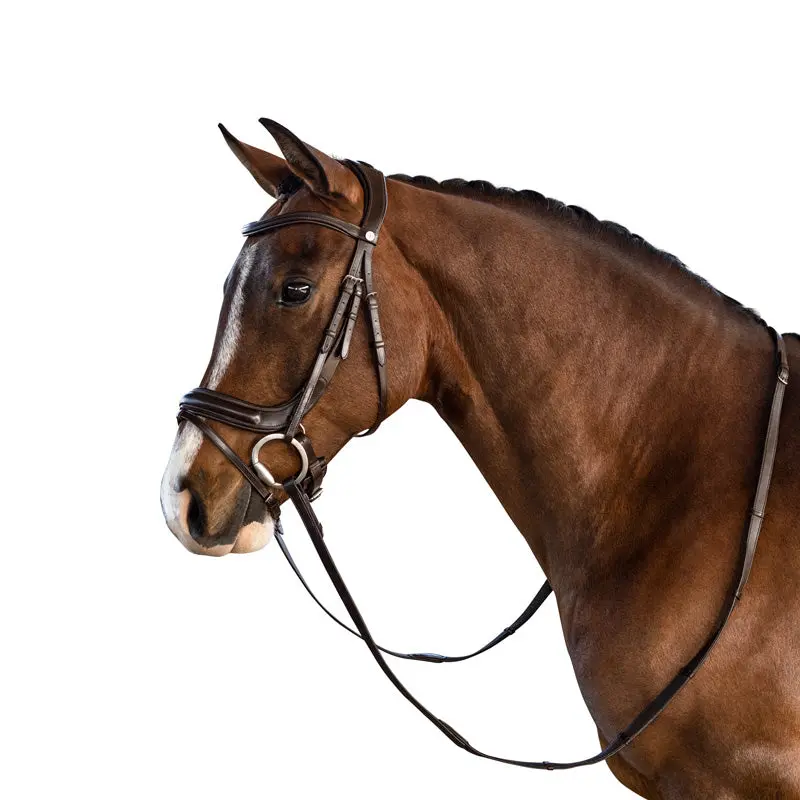 Lt Connection Bridle Brown 1