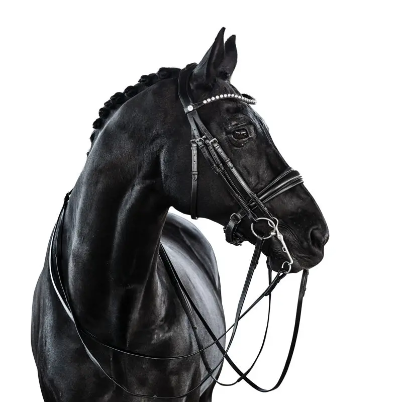 Lt Essential Double Bridle 1