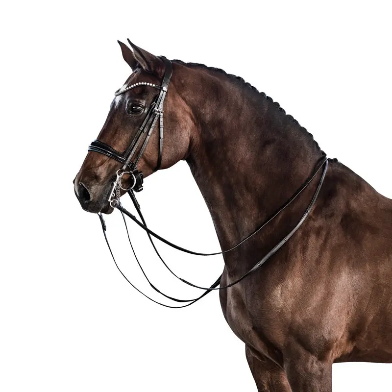 Lt Essential Double Bridle Black Patent 1
