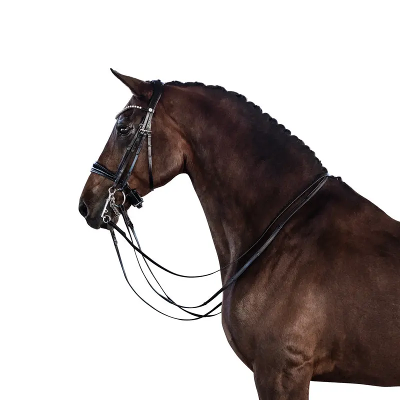 Lt Essential Double Bridle Black Patent 3