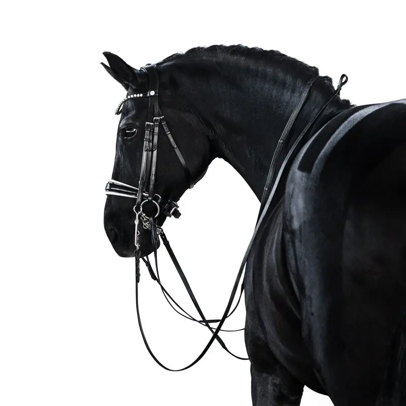 Lt Essential Double Bridle Black Patent & White 1