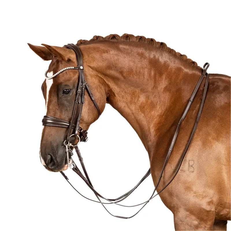 Lt Essential Double Bridle Brown 1