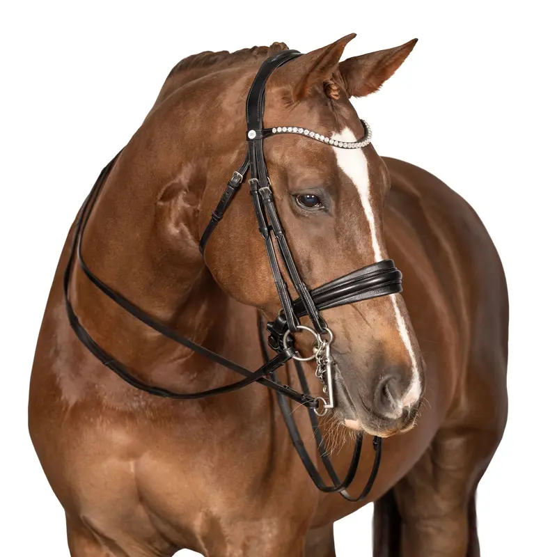 Lt Essential Equiform Double Bridle 1