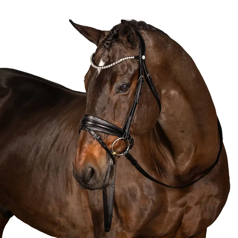 Lt Essential Equiform Snaffle Bridle 1