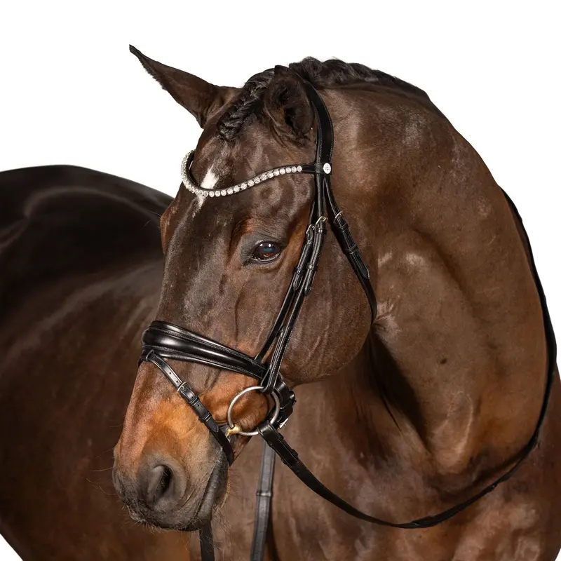 Lt Essential Snaffle Bridle 1