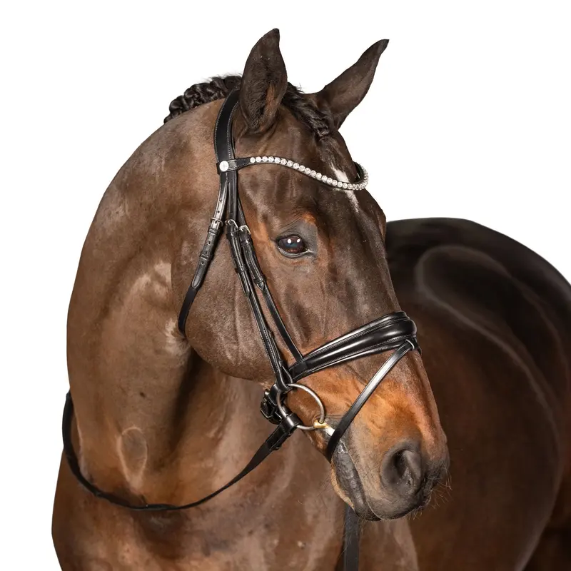 Lt Essential Snaffle Bridle 2