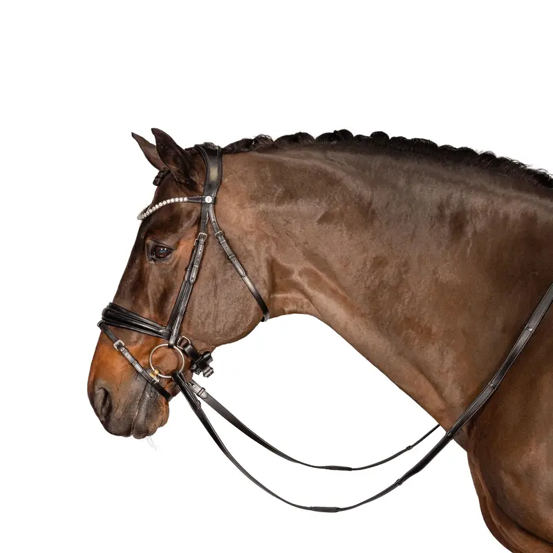 Lt Essential Snaffle Bridle 3
