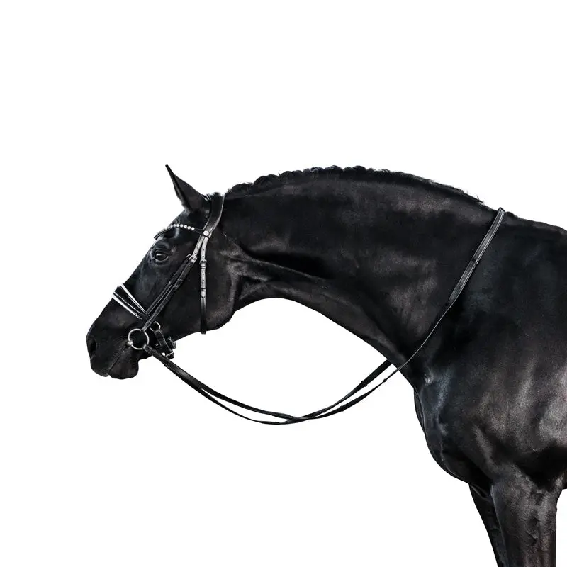 Lt Essential Snaffle Bridle Black Patent & White - Cavesson 1