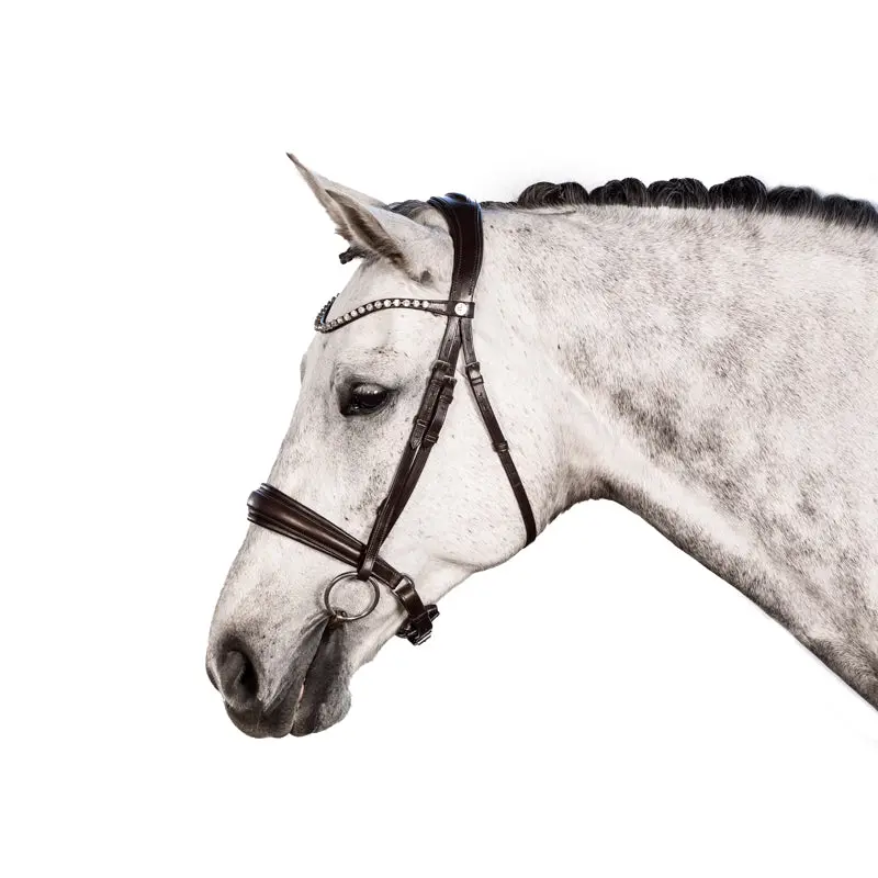Lt Essential Snaffle Bridle Brown - Cavesson 1