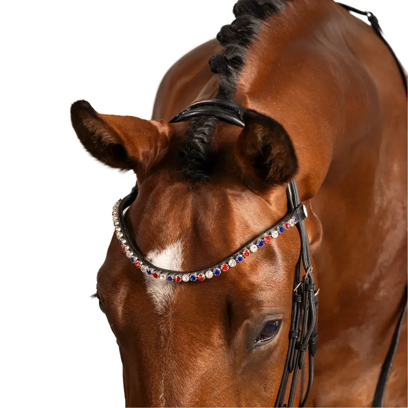 Lt Usa/Gb Crystal Brow Band 2